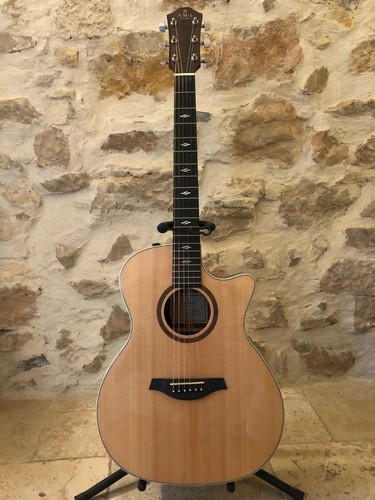 Guitare ami gtce - guitare, gtce-2
